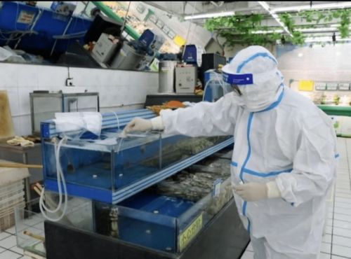 科技守护安全 从遵化生鲜食品核酸检测看技术咨询的价值